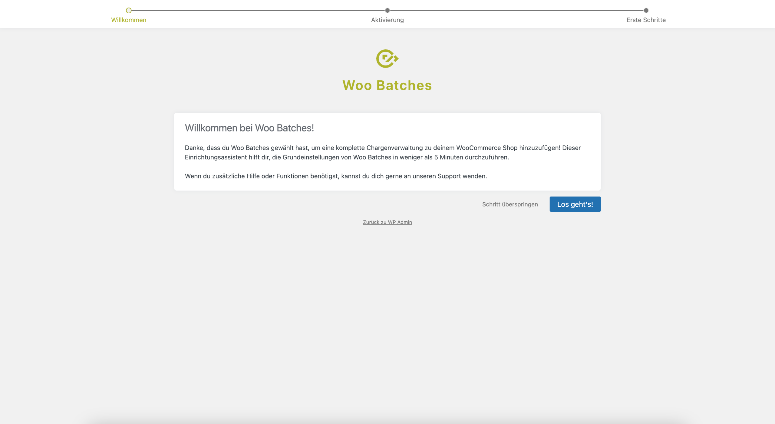 Woo Batches Einrichtungsassistent Schritt 1