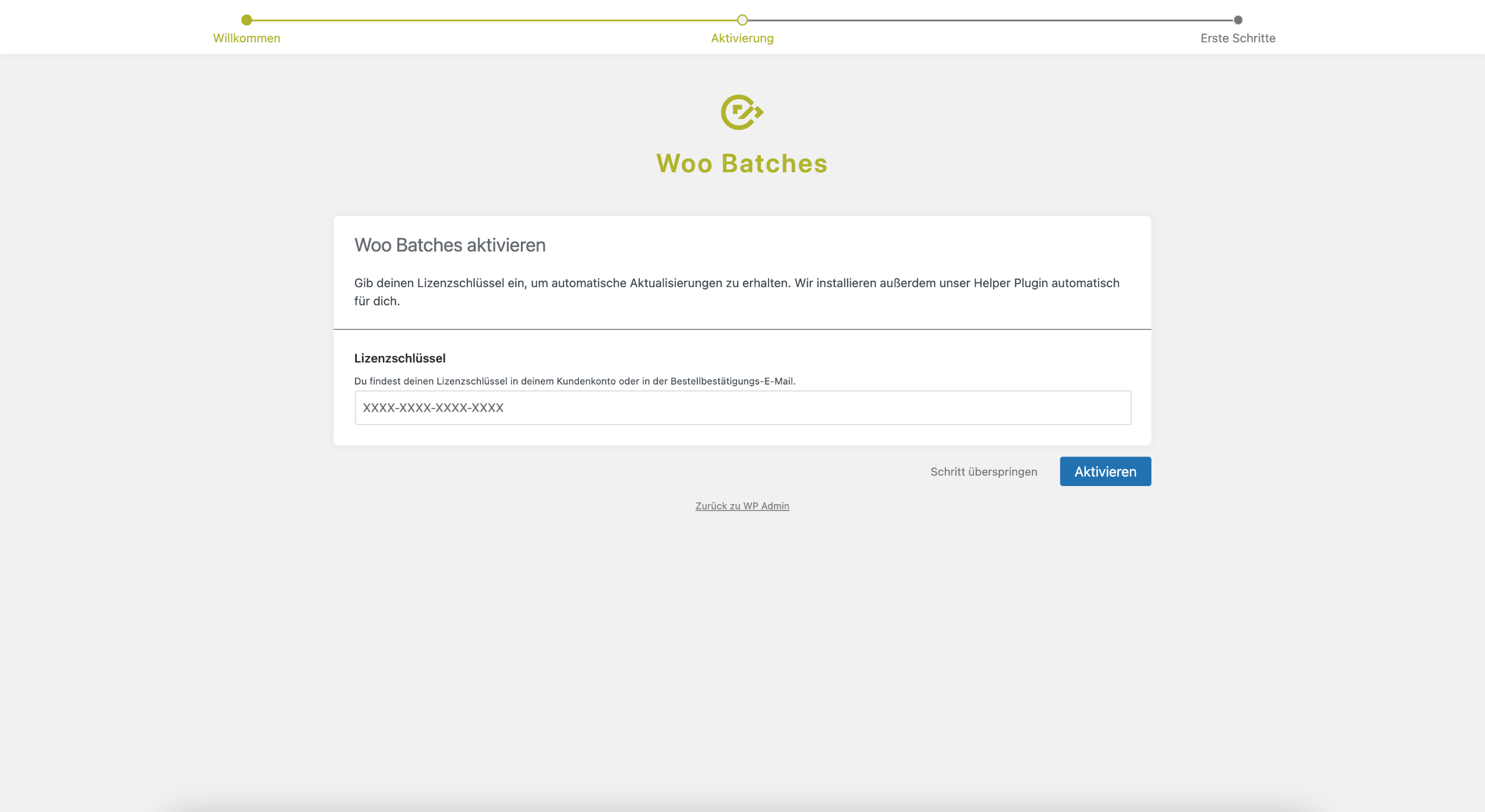 Woo Batches Einrichtungsassistent Schritt 2