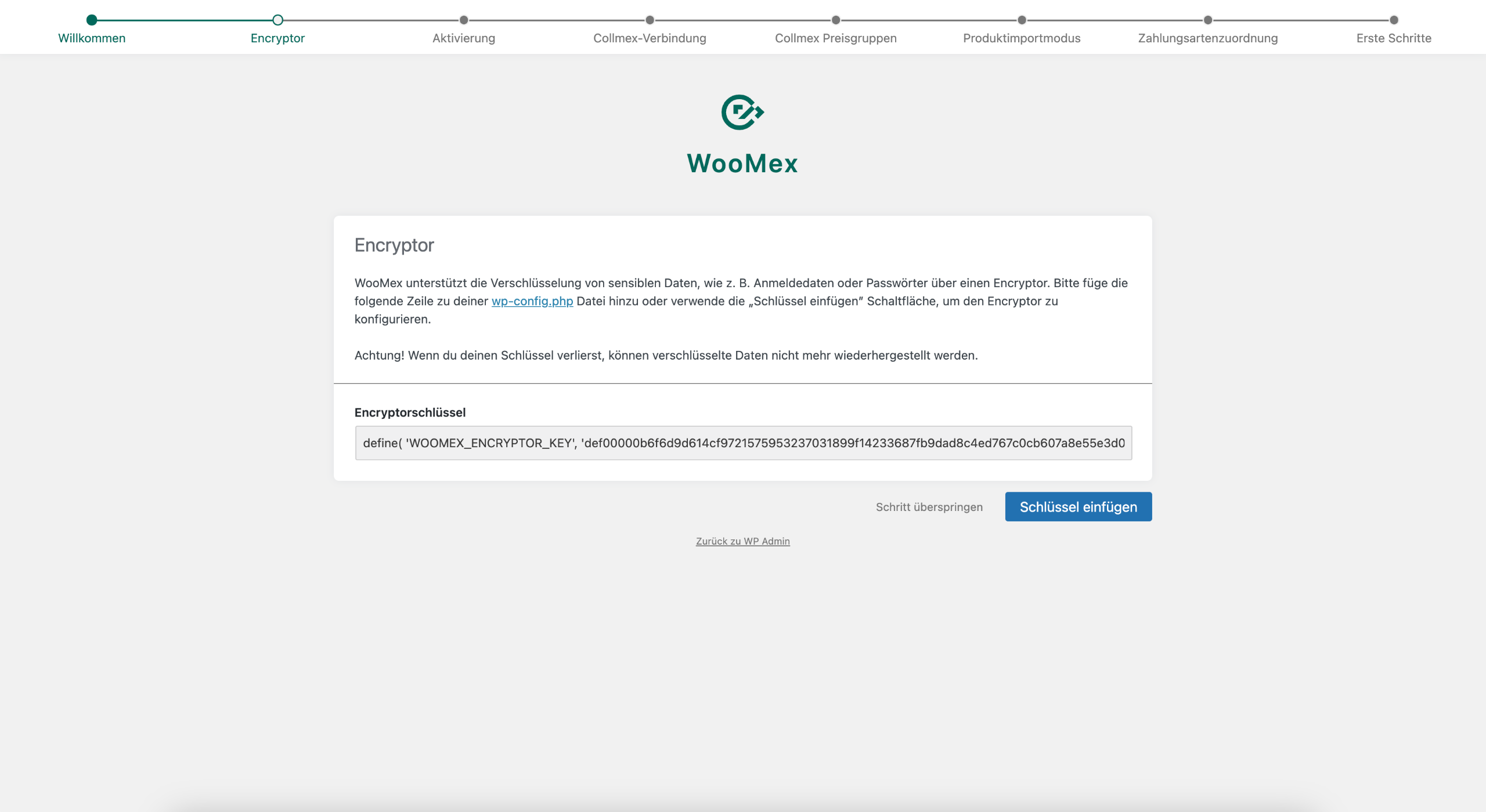 WooMex Einrichtungsassistent Schritt 2