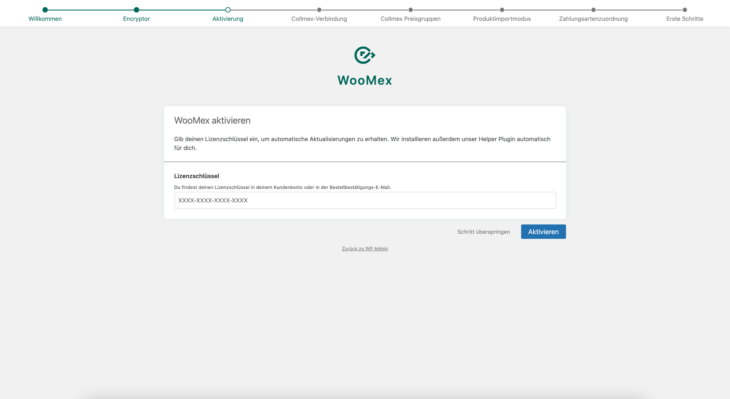 WooMex Einrichtungsassistent Schritt 3